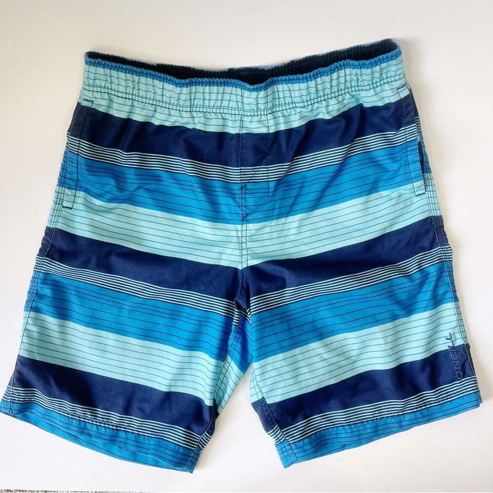 O’Neill Bathing Suit Swim Trunks Blue Striped Size Large - Picture 7 of 7